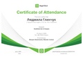 Brighttalk-viewing-certificate-scopus.pdf