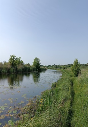 Файл:Річка Топілля.jpg