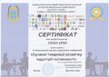 Сертифікат, 2025 (доцент Єрко І.В.)