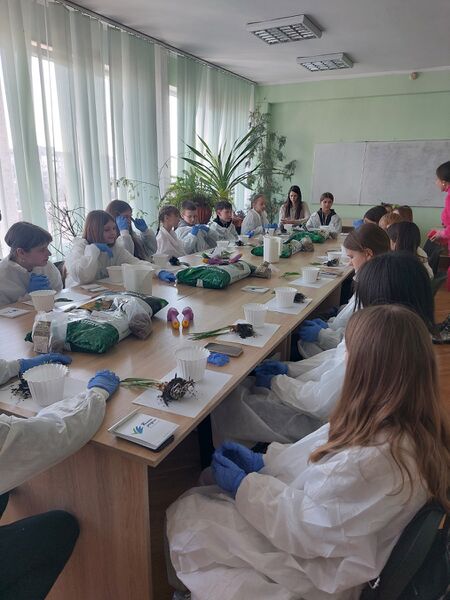 Файл:Изображение viber 2026-03-25 13-54-09-697.jpg