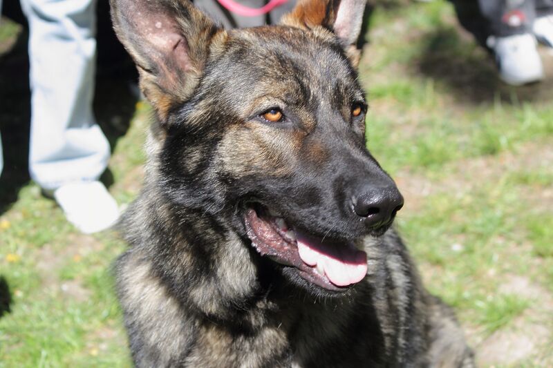 Файл:494313473 1277552847137655 8484316966010181908 n.jpg