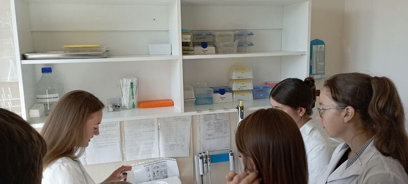 Файл:551449003 24918683314392995 6233038218262049157 n.jpg