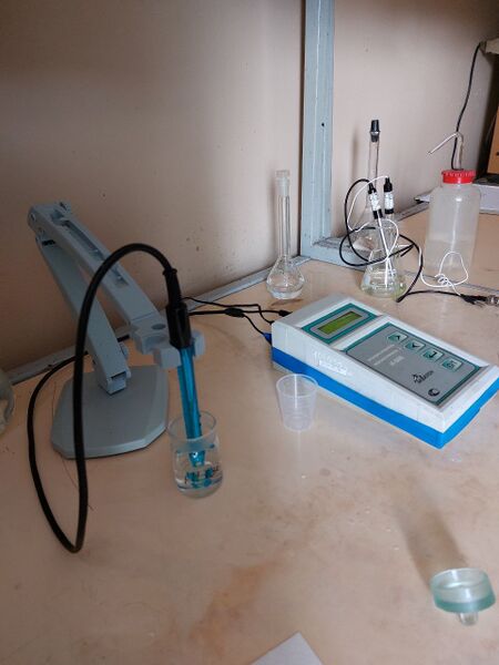 Файл:Photo 2025-05-20 08-19-48.jpg