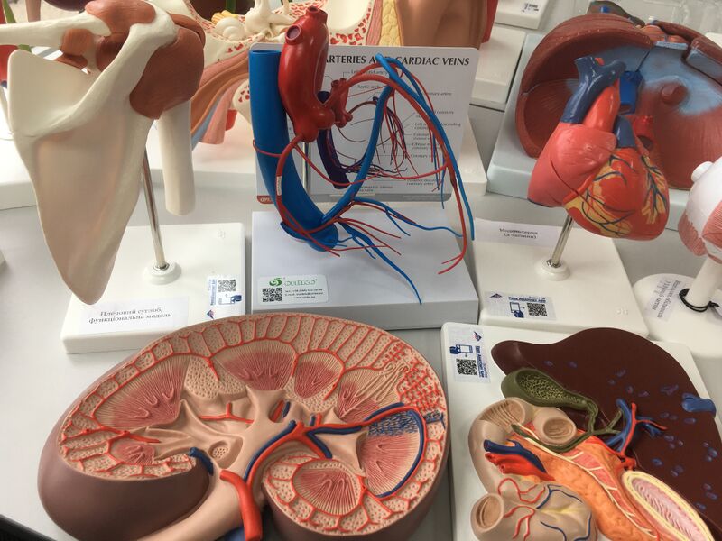 Файл:IMG 2607 (1).JPG