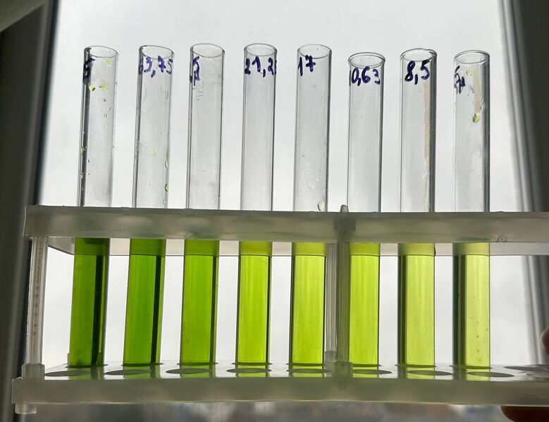 Файл:Photo 2025-11-11 13-35-36.jpg