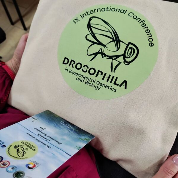 Файл:504611277 18130270141433724 4287923447110398392 n.jpg