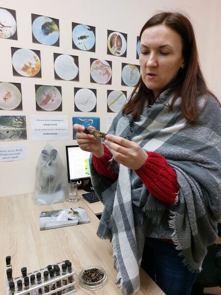 Файл:Photo 2025-04-11 13-22-04.jpg