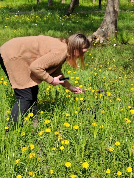 Файл:Photo 2025-05-06 18-09-38.jpg