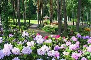 Ботанічний сад Вільнюського університету4.jpg