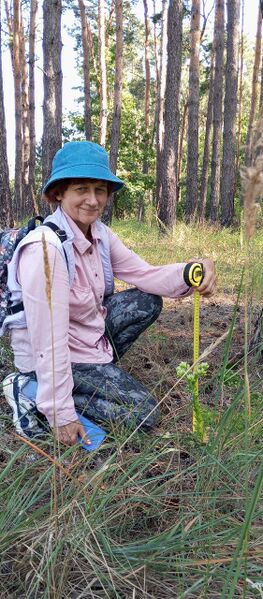 Файл:532536839 746412888176323 1398411432336906966 n.jpg