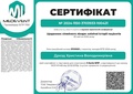 Мініатюра для версії від 08:36, 5 грудня 2024