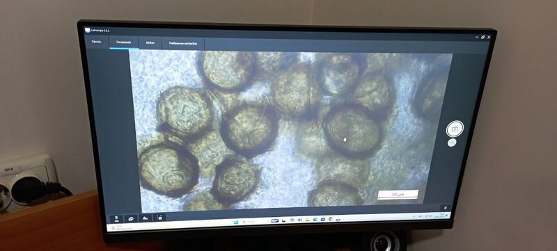 Файл:571325986 25234213759506614 24664750313452791 n.jpg