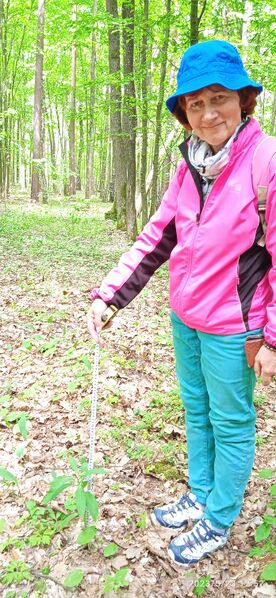 Файл:474503838 593351020149178 8812269037922467953 n.jpg