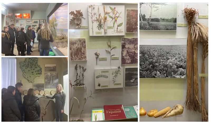 Файл:Краєзнавчий музу ...Фіщук.jpg