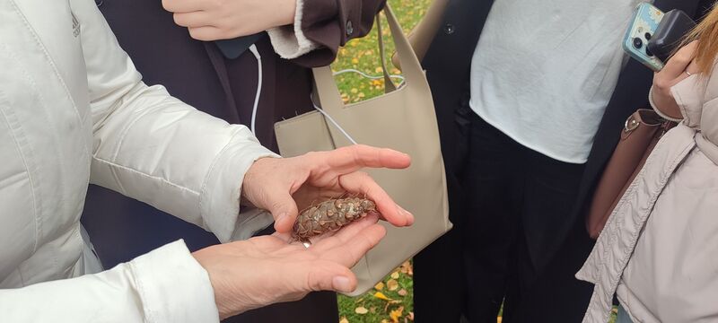 Файл:572100515 1891190798494965 8674413130448049004 n.jpg