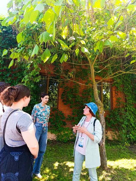 Файл:Изображение viber 2025-06-18 15-25-58-514.jpg