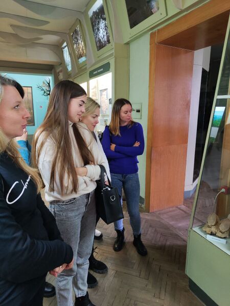 Файл:Photo 2025-05-06 19-20-25.jpg