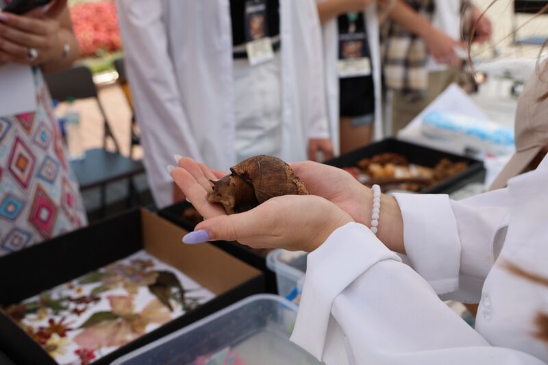 Файл:545643827 1385600852999520 8273101385249455061 n.jpg