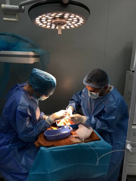 Файл:ГУРТОК МАРЧУК.jpg