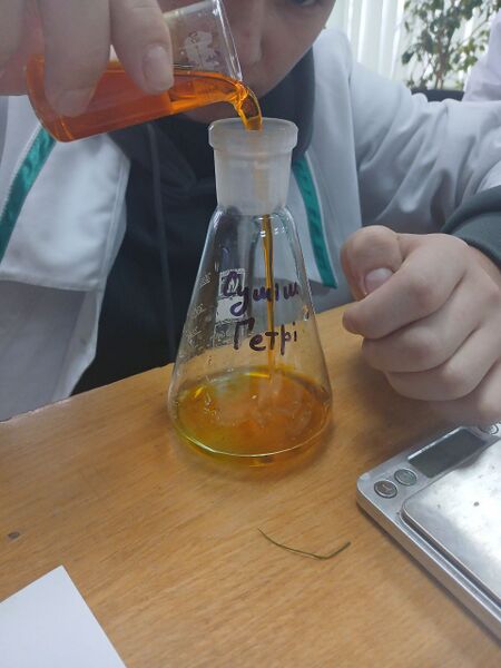 Файл:Photo 2025-11-11 13-39-22.jpg