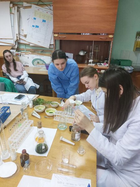 Файл:Photo 2025-11-11 14-37-50 (4).jpg