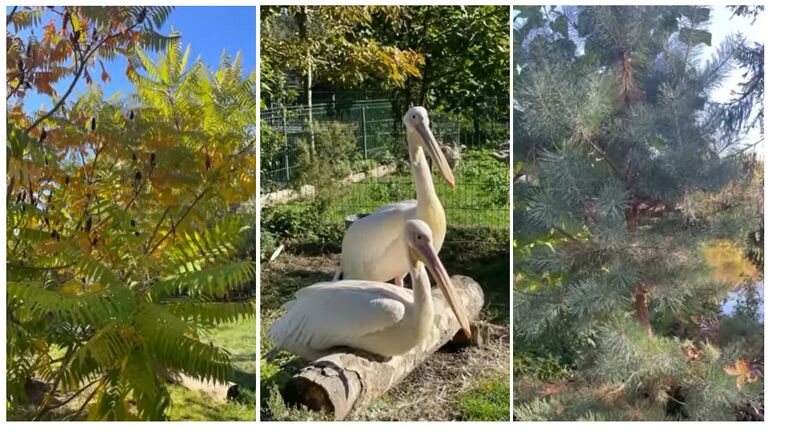 Файл:Екскурсія парком.. .Фіщук.jpg