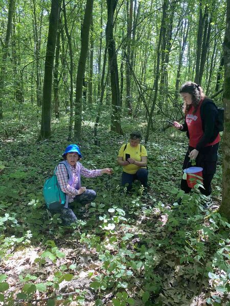 Файл:Изображение viber 2025-05-07 15-12-34-566.jpg