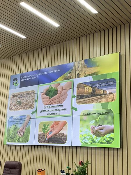 Файл:494960285 122147813942528795 2680052627796525084 n.jpg