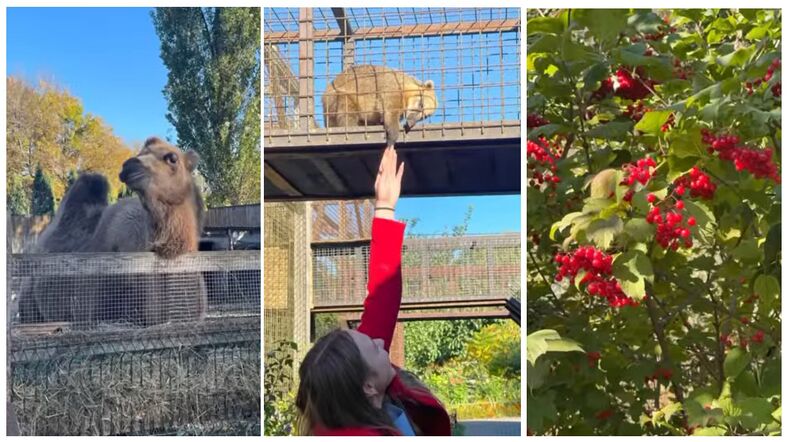 Файл:Екскурсія парком. .Фіщук.jpg