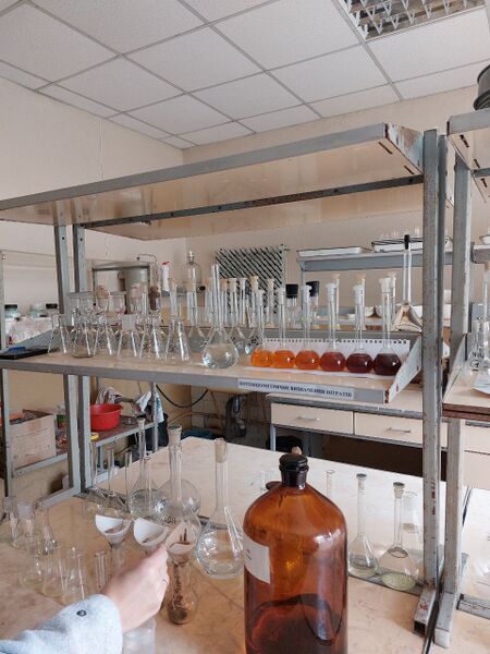 Файл:Photo 2025-05-20 08-19-43.jpg