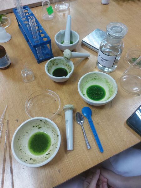 Файл:Photo 2025-11-11 14-37-49 (4).jpg