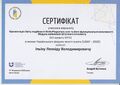 Сертифікат, 2025.(проф. Ільїн Л.В.)