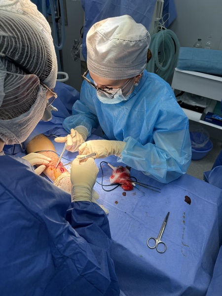 Файл:IMG 1503.pdf