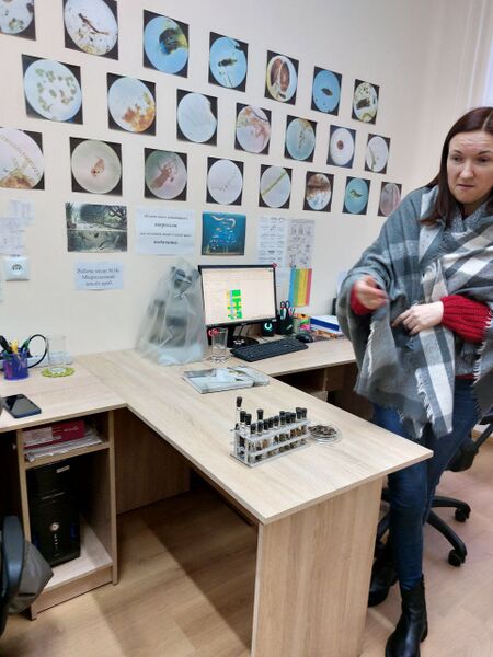 Файл:Photo 2025-04-11 13-22-03 (3).jpg