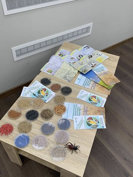 Файл:495734175 122147813300528795 1968800898438084314 n.jpg