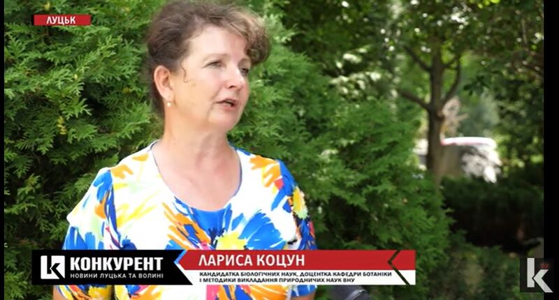 Файл:Китайська гусінь знищує кущі самшиту.jpg