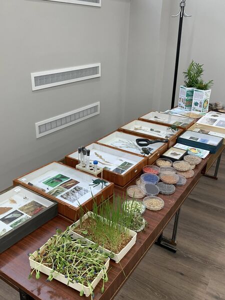 Файл:496427082 122147813852528795 2123328608564167001 n.jpg