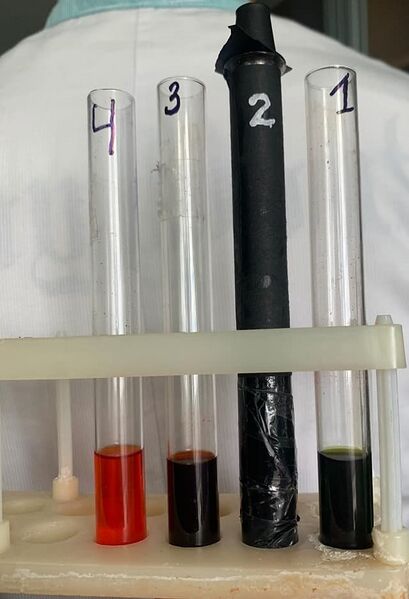 Файл:Профорієнтаційної роботи серед учасників ювілейного 20-го обласного Турніру юних біологів....jpg