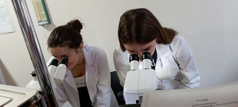 Файл:571271024 25234213559506634 3649771608639515281 n.jpg