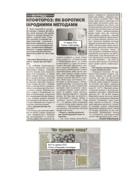 Файл:ШевчукСтатті.pdf