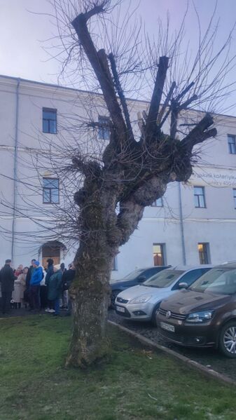 Файл:601347967 24939831225700172 2061031075372727503 n.jpg