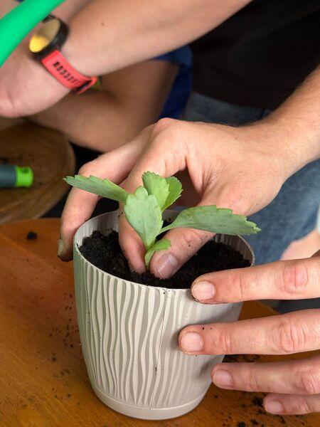 Файл:518274303 4090047674601074 8973016779153986154 n.jpg