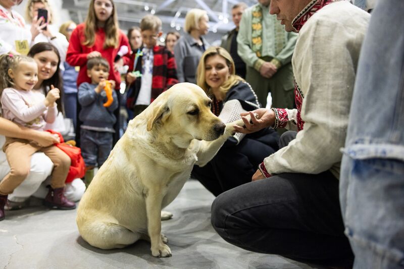 Файл:497499207 625736247189316 8586933403157655719 n.jpg