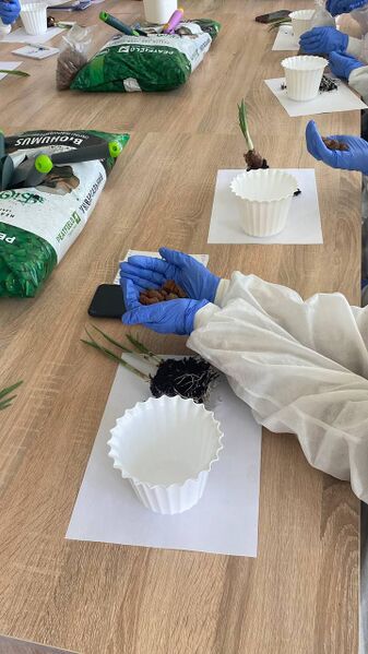 Файл:654788134 1515878587215009 835260563296254533 n.jpg