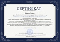 31.03.23. Шевчук Борис - Сертифікат 2023-1004-5501930-100174 (Учасник) (1).pdf