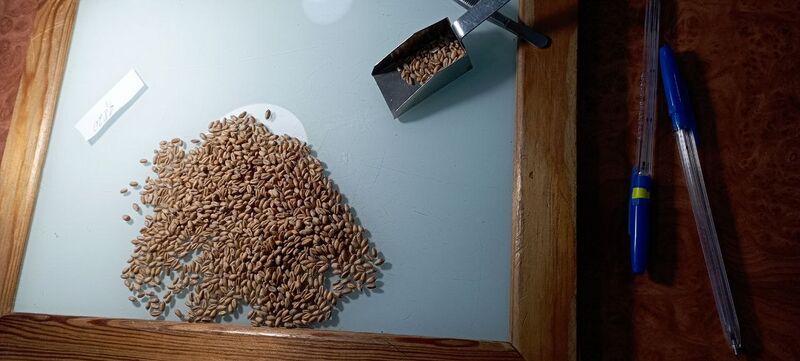 Файл:552102597 24918683604392966 8283649858553241821 n.jpg