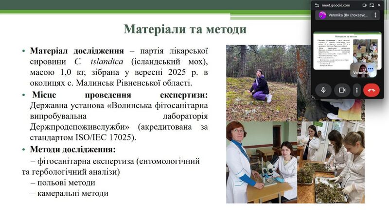 Файл:607709824 25799173039677347 2123160000295295846 n.jpg