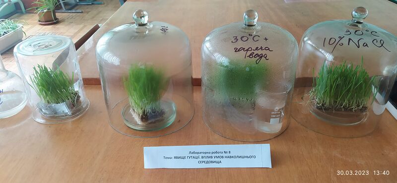 Файл:488850948 3955643388083940 3374215372595339764 n.jpg