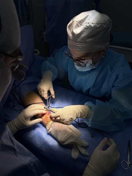 Файл:IMG 1501.pdf