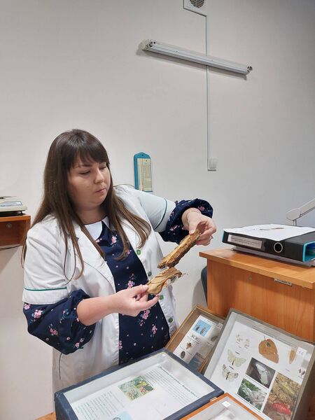 Файл:581960510 4193551094293167 213974909434370805 n.jpg